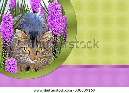 Cat Hiding Cut-Out- Cut-Out of depicting brown cat lying in grass surrounded by long purple flowers. Right side has green and purple background with flower texture with space for  text.