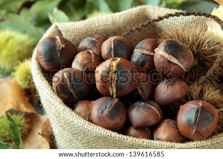 roasted chestnuts in canvas bag on leaves background