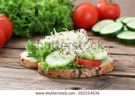 vegetarian  sandwich