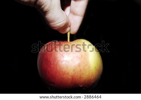 hand holding big red apple on black background