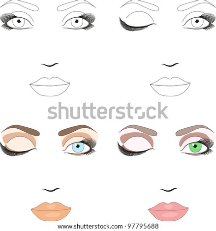 Free Makeup Sample on Samples Of Woman Face Scheme For Makeup Application  Set Of Classic