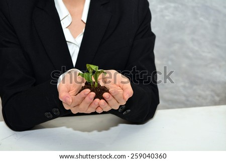 Business woman holding a young plant with both hands