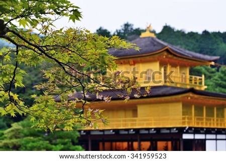 KYOTO, JAPAN - August 29, 2015 : The Golden Pavilion (Kinkaku-ji) in Kyoto, Japan is a landmark Zen Buddhist Temple.