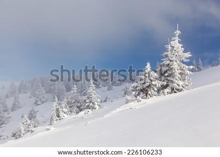 Unbelievable christmas holiday in the carpathian canyon covered with white lace and a clear blue sky and clouds.