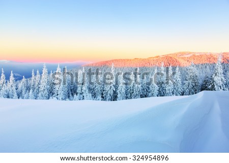 Early morning sunbeam shelter sky and forest covered with snow, drawing the way for adventurous extreme traveler