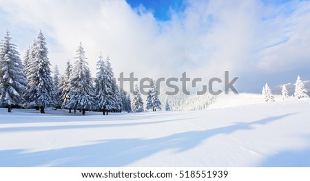 Spectacular panorama is opened on mountains,  trees covered with white snow,  lawn and blue sky with clouds.
