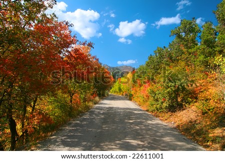 High mountain road in the fall showing all the fall colors