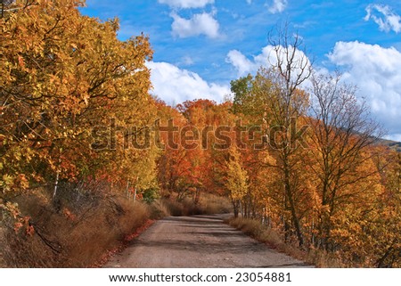 High mountain road in the fall showing all the fall colors