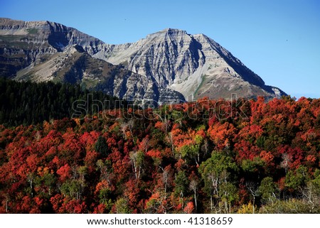 High Mountain Flat in the fall showing all the fall colors with mountains in the background