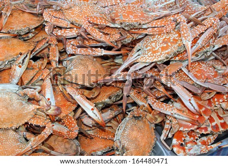 Crabs in a market, Thailand