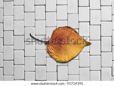 The background eraser from stationery and autumn leaf