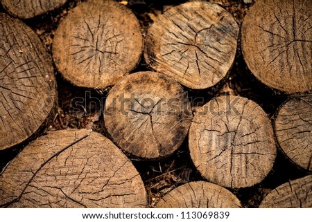 ancient wood circle floor