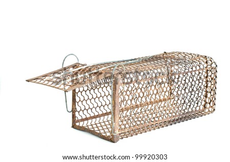 rat cage