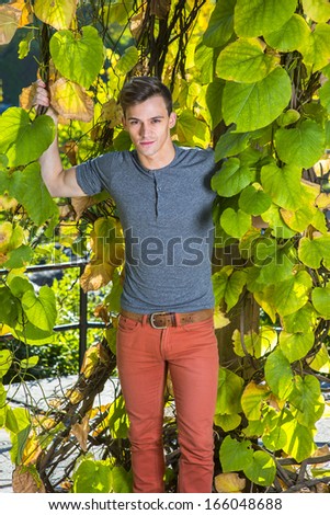 Dressing in a gray long sleeves with roll-tab Henley shirt and red jeans, a young handsome guy is standing by green plants, charming looking at you. / Portrait of Young Handsome Guy
