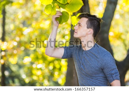 A young handsome guy is interestedly looking at leaves in a golden autumn afternoon. / Golden Autumn Afternoon