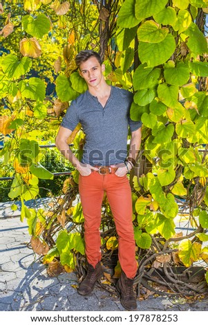 Man casual fashion.Dressing in a gray long sleeves with roll-tab Henley shirt, red jeans, brown boot shoes, a young handsome guy is standing by green plants with big leaves, charmingly looking at you.