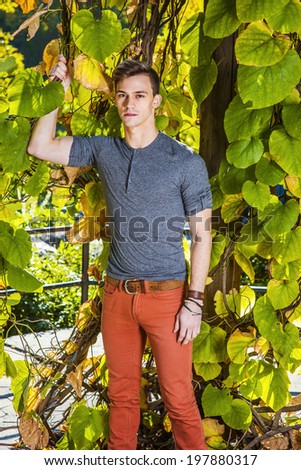 Man casual fashion.Dressing in a gray long sleeves with roll-tab Henley shirt, red jeans,  a young handsome guy is standing by green plants with big leaves, charmingly looking at you.
