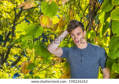 Puzzling Man. Wearing a gray long sleeves with roll-tab Henley shirt, a young handsome guy is standing by golden foliage, scratching his head, puzzlingly looking at you.