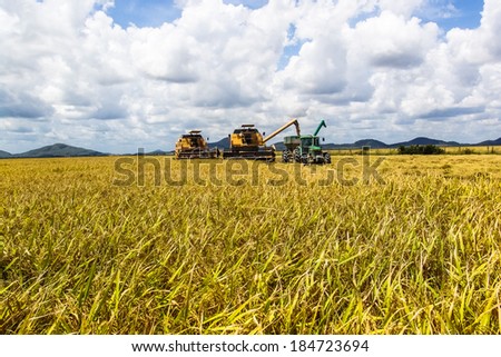 RORAIMA, BRAZIL, AUGUST 27, 2004. Combine machine harvesting in rice field