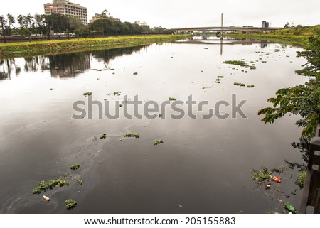SAO PAULO, BRAZIL, JUNE 01, 2008. Pollution of Pinheiros river by sewage and trash of city in a rain day