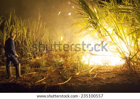Bariri, Sao Paulo, Brazil, October 09, 2008. Sugar cane burned by farmer for pre-harvest in Brazil