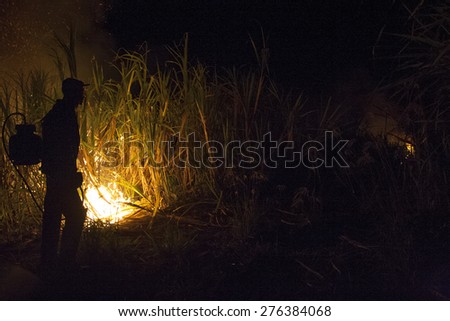 Bariri, Sao Paulo, Brazil, October 09, 2008. Sugar cane burned by farmer for pre-harvest in Brazil