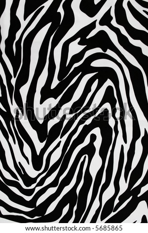 stock photo zebra print