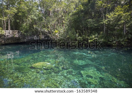 Cenote in Riviera Maya