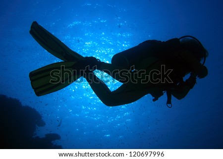 Scuba diver in the blue water of the ocean