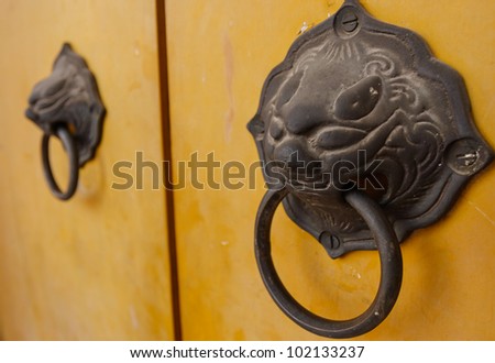 Lion head knob on the yellow door