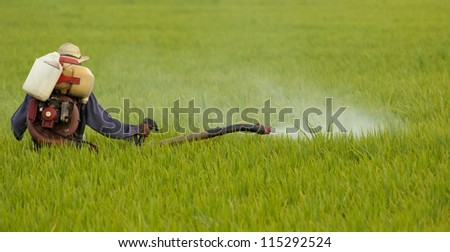 Unidentified farmer spraying chemical on a paddy field in Sekinchan, Malaysia