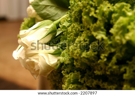 Close-up of white roses within the green lettuce at the wedding reception. Shallow depth of field - roses in focus.