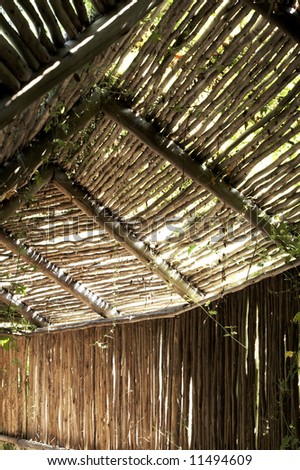 Wooden poles used to build a roof and walls of a hallway to the bird hide, covered with green plants and rays of sun shining through it