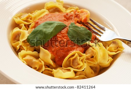 Plate of Italian bolognese tortelloni, fresh egg pasta made with durum wheat, with creamy tomato sauce and fresh basil leaves