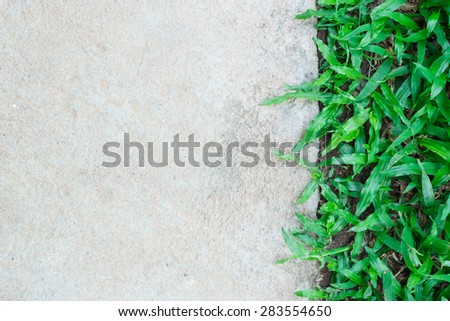Concrete ground and have a grass on right side