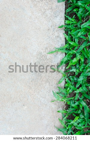 Concrete ground and have a grass on right side