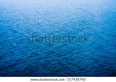 Water surface which can be: sea, ocean, river, lake, swimming pool.