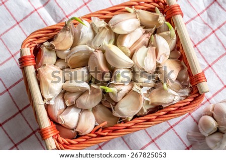 Garlic in a red wicker basket on a red checkered tablecloth