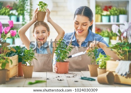 Cute child girl helping her mother to care for plants. Mom and her daughter engaging in gardening near window at home. Happy family in spring day.
