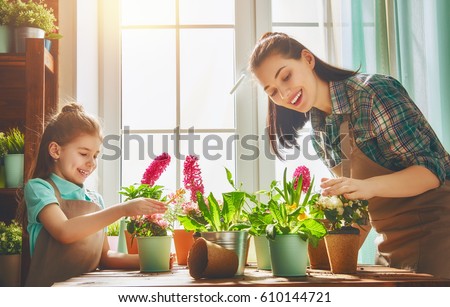 Cute child girl helps her mother to care for plants. Mom and her daughter engaged in gardening near window at home. Happy family in spring day.