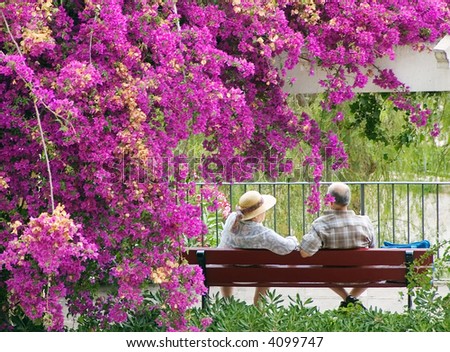 an old pair of lovers sitting on the bench