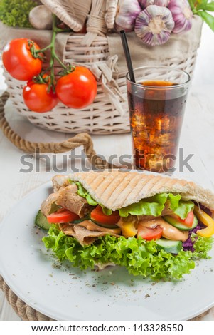 Kebab in grilled pita bread close-up