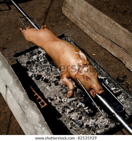Pig roasted on a spit