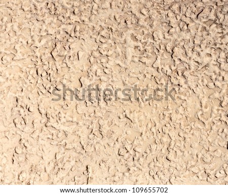 Background - beige stone texture - bark-boring beetle.