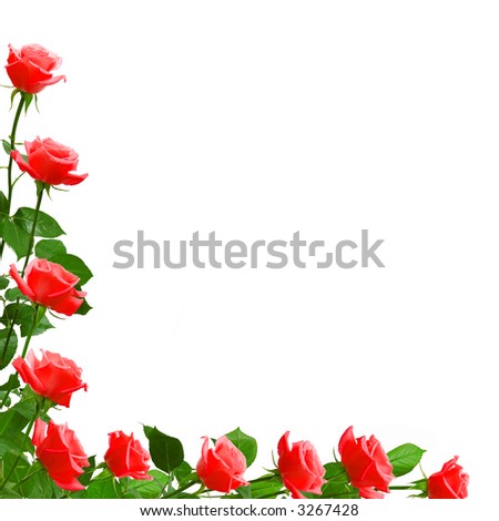 love poems with roses. roses love poem red roses poem