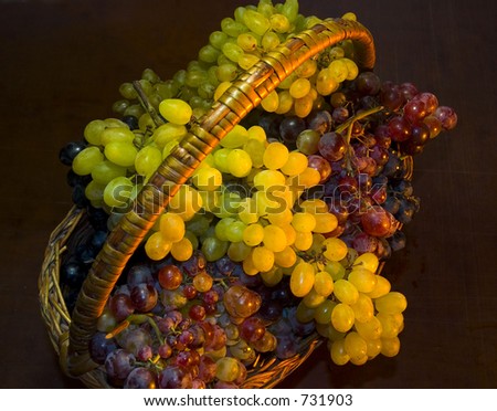 basket full of wine grapes in warm light