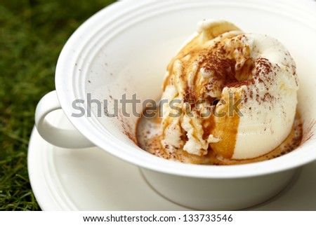affogato (vanilla ice cream with espresso shot) in a white ceramic bowl on a white ceramic plate on green grass