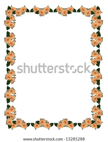 beauty rose frame