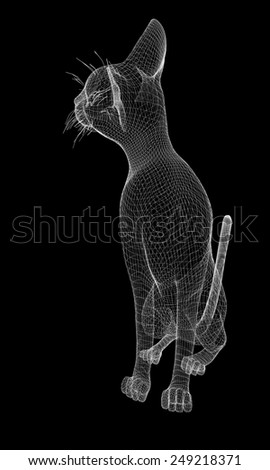 cat, body structure , wire model, on background