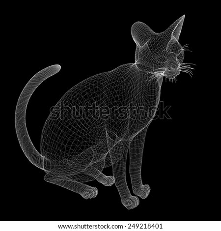 cat, body structure , wire model, on background